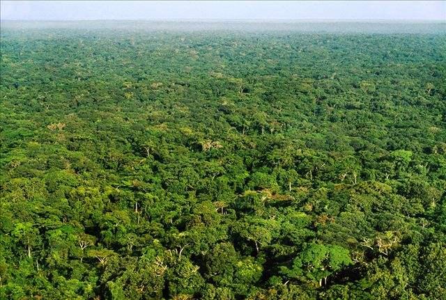 刚果盆地地形特征图片
