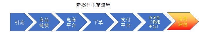 新媒体商务是做什么的（新媒体电商的机遇一览）