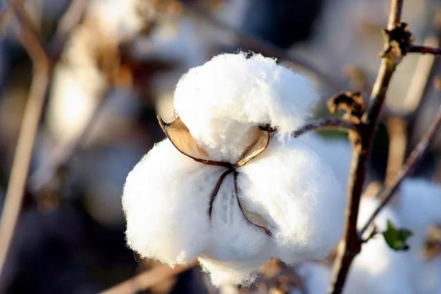 酒店的床垫为什么那么舒服，酒店的床垫为什么睡得舒服（为什么睡五星级酒店比在家睡舒服）