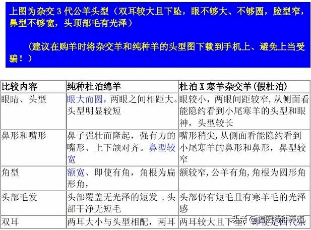 七百零一個(11月11日)內蒙古濟寧:白條羊每斤33元(11月9日)內蒙古莫旗