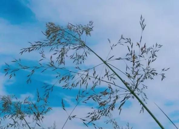 做自己的太阳唯美语句,做自己的太阳,无需凭借谁的光 做自己的太阳唯美语句,做自己的太阳,无需凭借谁的光