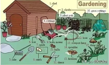 英语学习方法总结，怎么学好英语方法技巧（超级全面的小学英语学习方法总结）