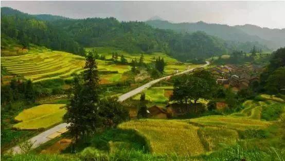 清远市阳山县秤架瑶族乡南岭自然保护区连山壮族瑶族自治县金子山