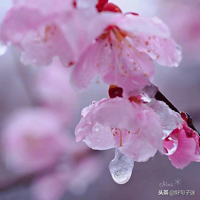 发朋友圈招聘短语，发朋友圈招聘短语有哪些（温暖别人的朋友圈说说心情短语）