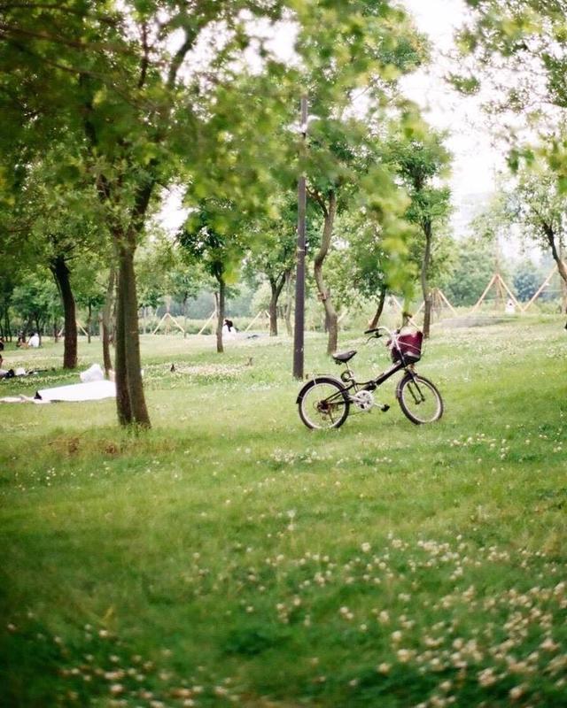 美好阳光且干净的女生头像  星空迷上了山野微信，美好阳光且干净的女生头像  星空迷上了山野，有雾有灯也有归人。（有哪些好看非人物的头像）