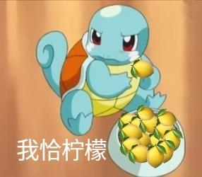 手机淘宝官网(官方淘宝网免费下载手机版下载)