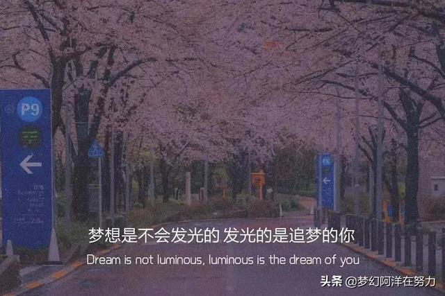 陪伴的唯美句子，有关陪伴的唯美句子最暖心的陪伴（关于陪伴的句子）