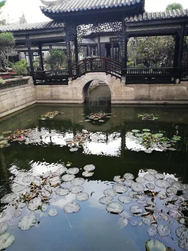 番禺有什么好玩的地方，番禺有什么好玩的（广州番禺旅游攻略<C篇>）