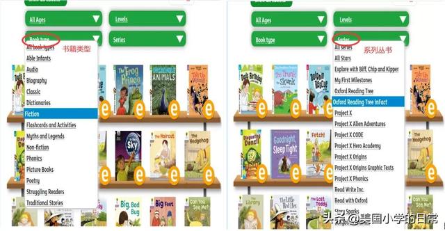 背单词网站，背单词app（孩子暑假每一天都过得有意义）