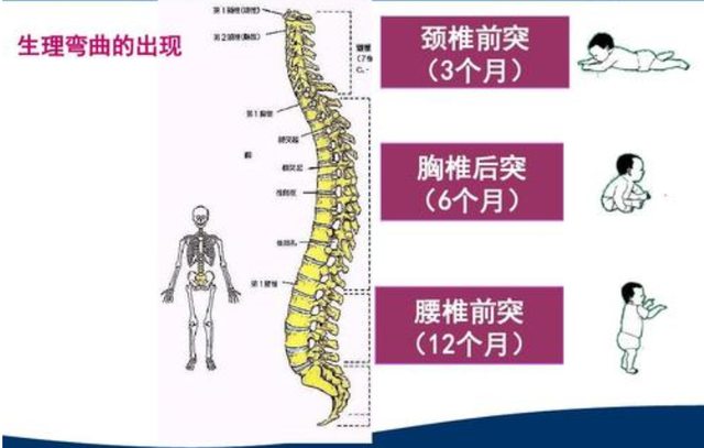 五个月宝宝，五个月宝宝感冒咳嗽流鼻涕怎么办速效办法（五个月宝宝的发育情况、具备了哪些能力）