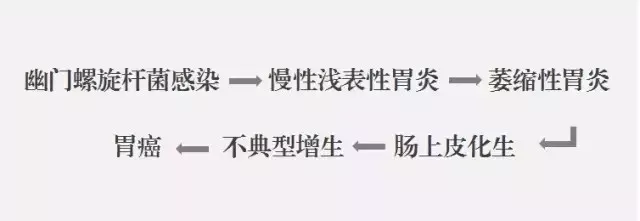 围餐是什么意思，慢性胃病是可以传染的