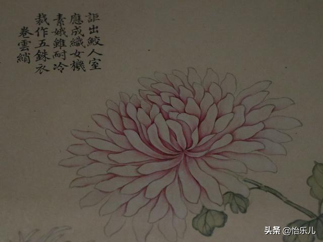 葩的读音（葩怎么读，葩是什么意思（金佛座、搓粉妆、绶带紫、鹤头丹）