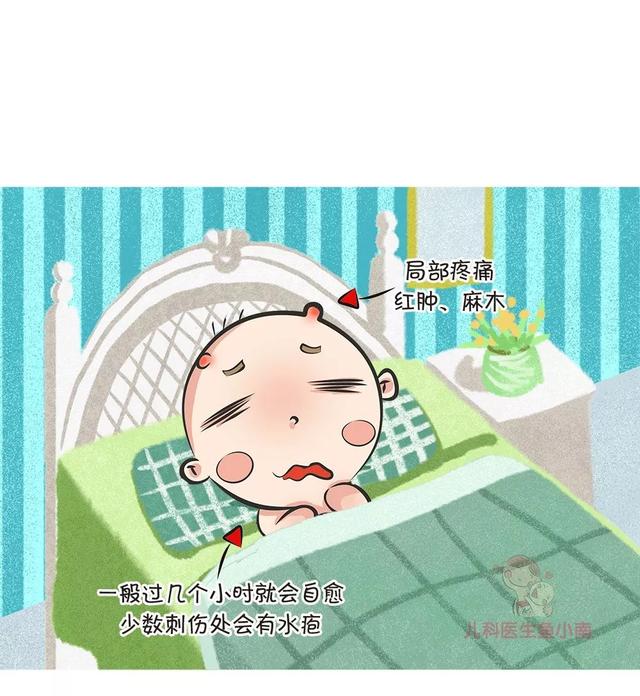 被蜂蜇了怎么办，蜂子蛰了怎样止痒（一文读懂蜂蛰伤）