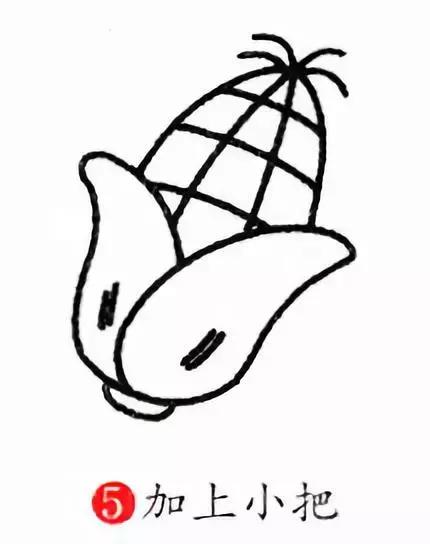玉米简笔画图片，几株玉米的简笔画怎么画（可爱的玉米简笔画画法图解）