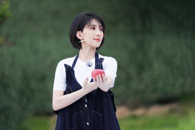 戴佩妮的怎样，戴佩妮的怎样是什么梗（歌坛“才女”戴佩妮）