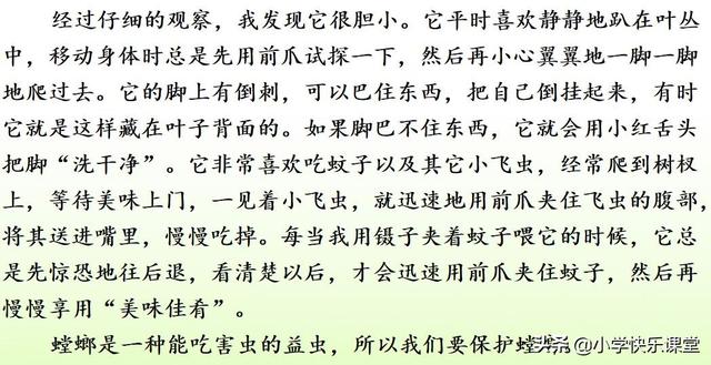 什么的硬翅，什么的硬翅？填四个字。（小学部编三年级语文下第4课《昆虫备忘录》图文+知识点+同步练习）