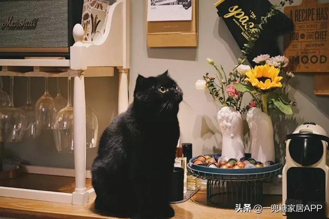 可以拍照整理错题的app，免费扫一扫批改作业（这25件高颜值家居小物）