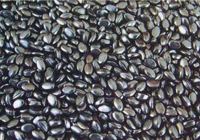 色母是什么材料做的，色母颜料是什么（塑胶材料色母介绍）