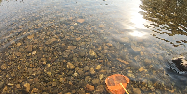 驻马店的风景区在哪里，有山有水非常适合带全家去玩耍