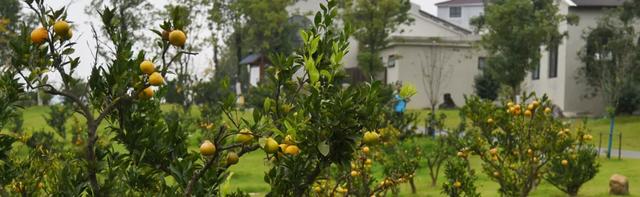 横溪风景区在哪里,横溪景区有几个(为何龙山赏心谷值得一去再去) 横溪风景区在哪里,横溪景区有几个(为何龙山赏心谷值得一去再去)