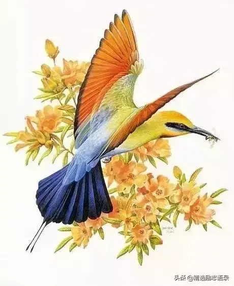 4的意思是什么，20-3*4的意思是什么（10）