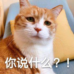 双标男是什么意思，双标是什么意思（你知道双标是什么意思吗）