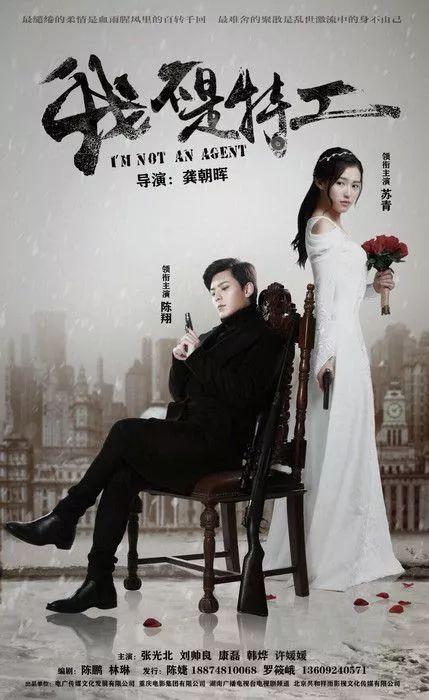 韩烨个人资料介绍，韩烨个人资料图片（由《胜算》女主苏青搭档张嘉译）