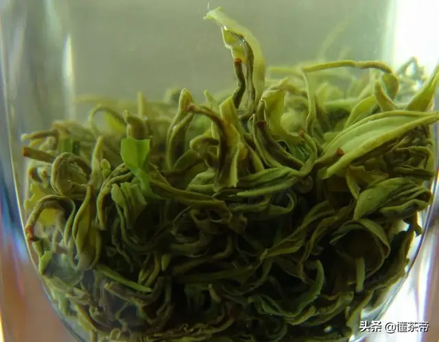 黄山毛峰属于什么茶类，黄山毛峰属于什么茶类保质期（你对毛峰茶的误会有些大）