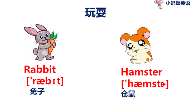 乌龟的英文单词turtle，乌龟的英文（宠物英语一箭双雕）