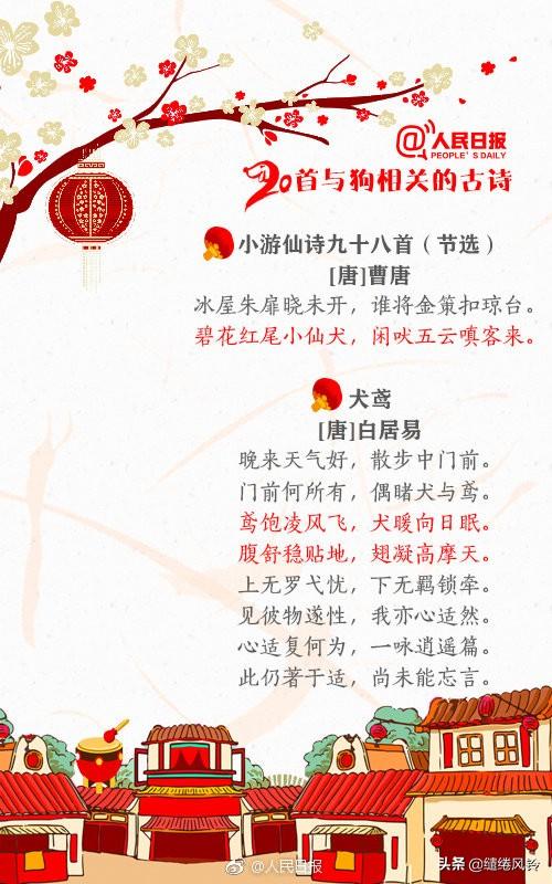 带鸟名的诗句，带鸟名的诗句飞花令（《人民日报》推荐20首与狗相关的古诗）