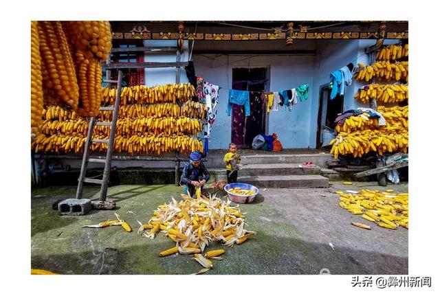 jkmtl00是什么型号，jkmal00是什么型号的（2020年凉山第二届全民手机摄影大展作品欣赏）