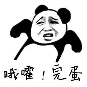 海豚和白鲸的区别，白鲸为什么是海豚（妹子的iPhone掉进大海后）