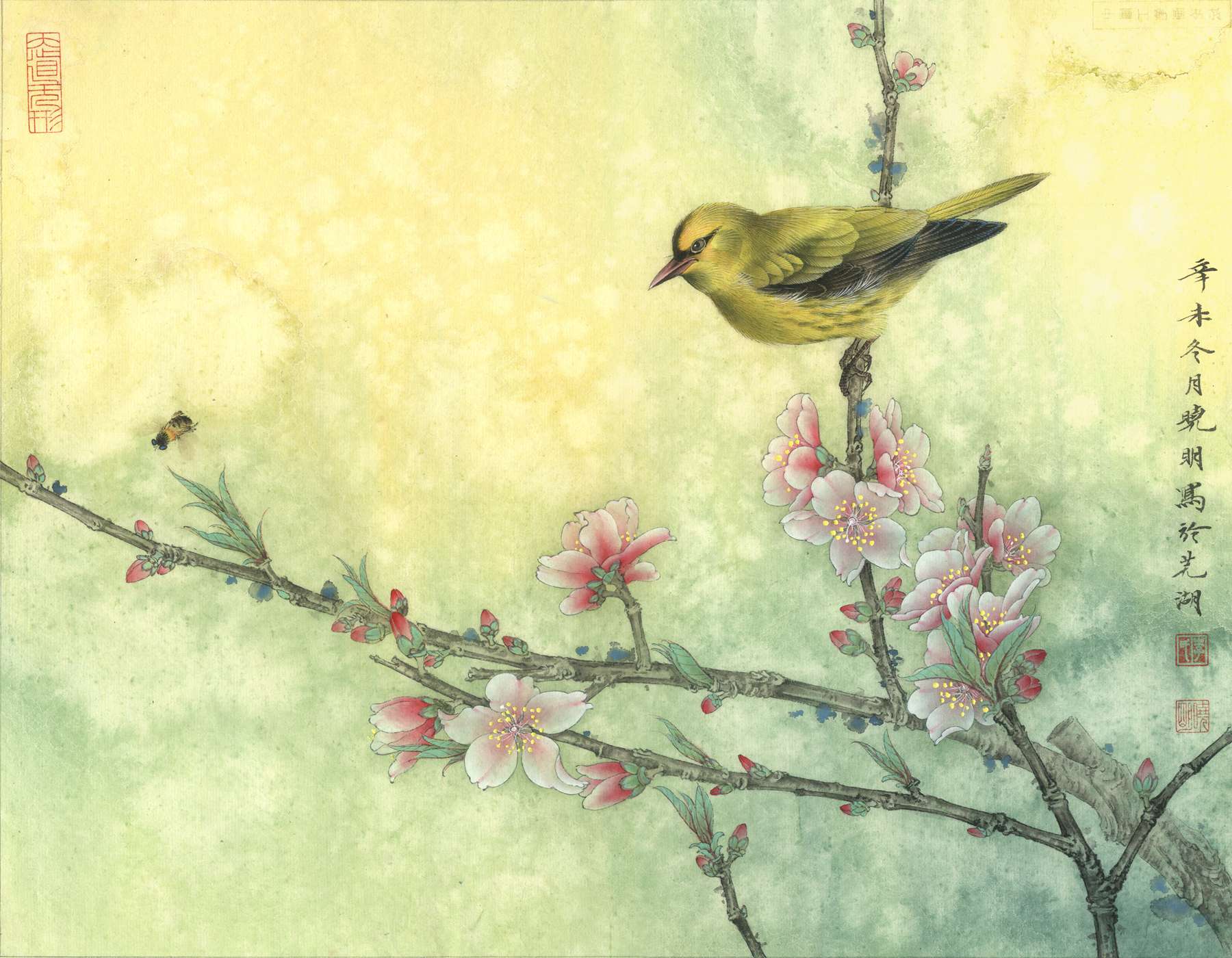 工笔花鸟画图片(李晓明工笔花鸟图) - 赤虎壹号