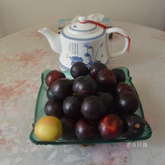 灰子是什么水果，灰子是什么动物（上好的李子卖五角钱一斤）