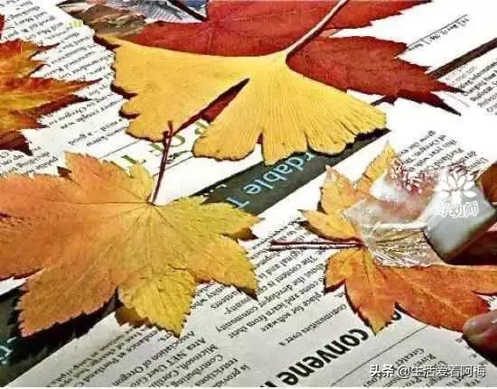 中秋节适合做的手工有哪些，中秋节做什么手工最合适（12个中秋节创意手工）