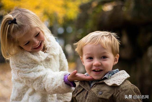 嘉卉的寓意是什么，诗经嘉卉的寓意（300个出自诗经的好名字）