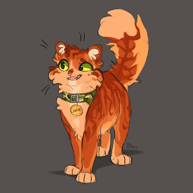 猫咪头像微信，猫咪头像（哪只像你的小可爱）