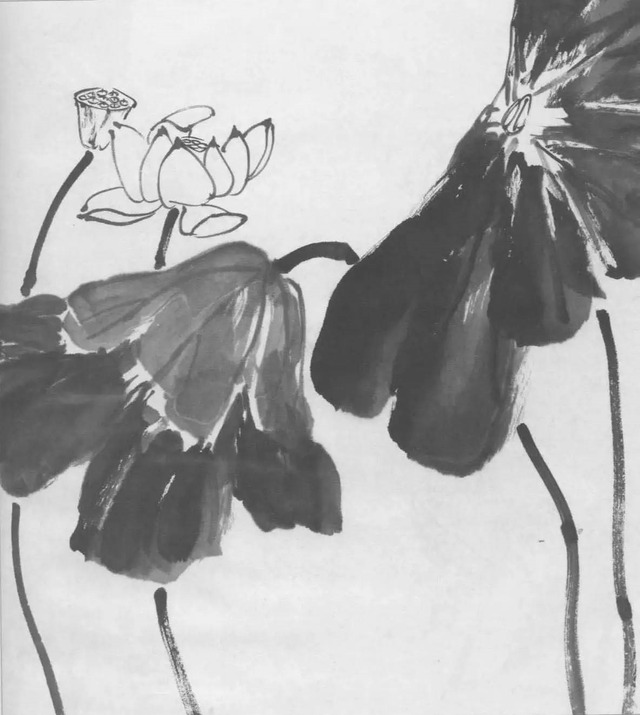 水墨画初学者入门教程，水墨画入门教程（图文教程：画水墨荷花）