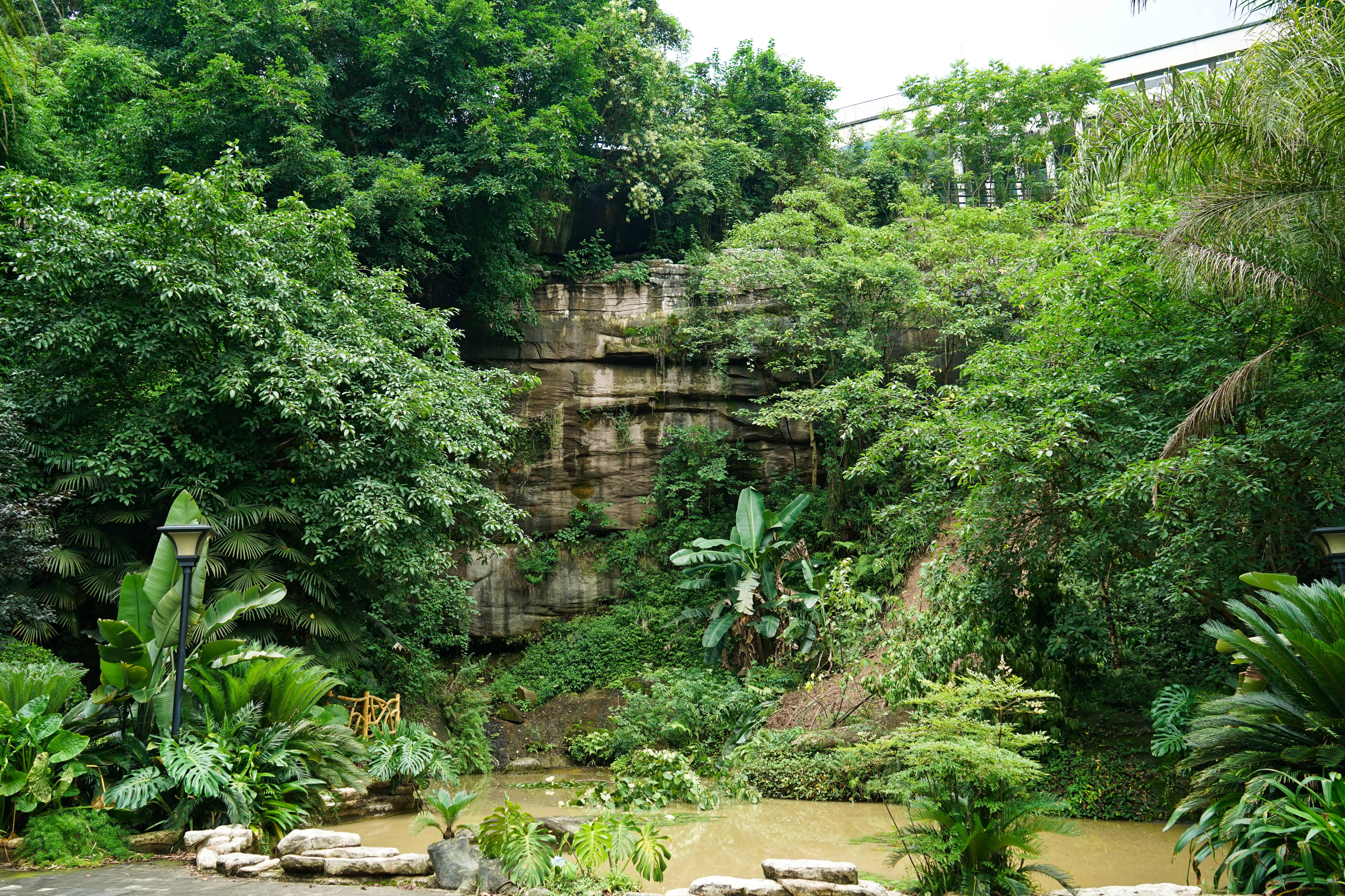 重庆大学城湿地公园图片