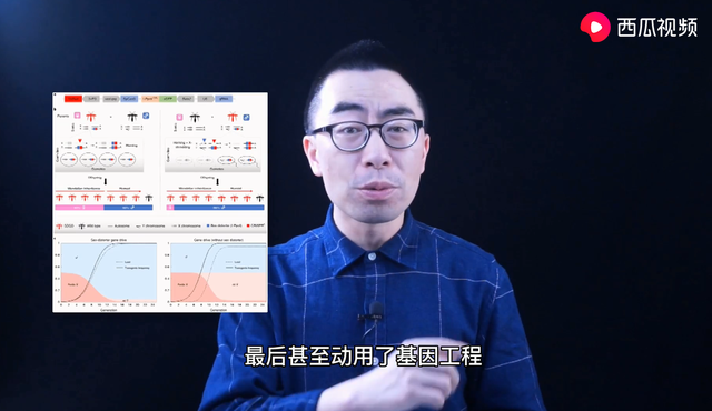 水蚊子咬人吗，打死一只蚊子判几年（西瓜视频给你科普夏天宿敌）