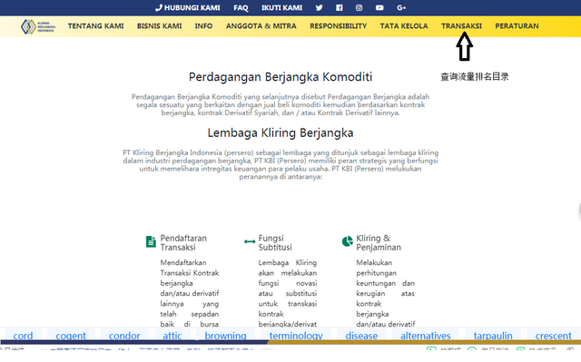 kbi是什么意思，chinesebots什么意思（普顿在KBI的流量证据会消失吗）