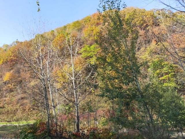 关于集安市介绍，集安属于哪里（一座英雄的城市——吉林省集安市）