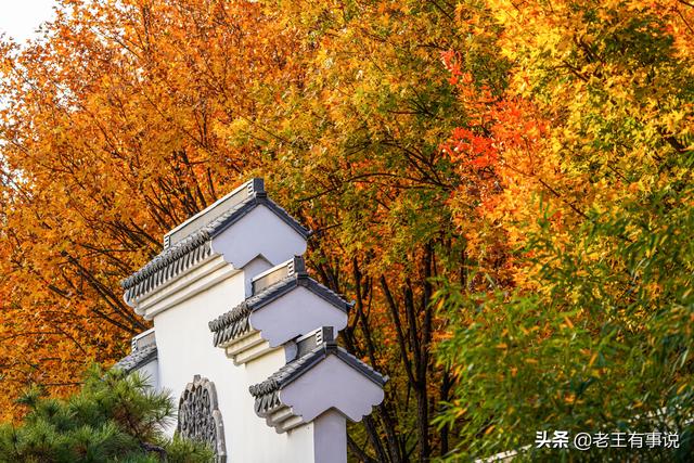 赞美秋天的句子，赞美秋天的句子10字左右（描写秋色的10个优美佳句）