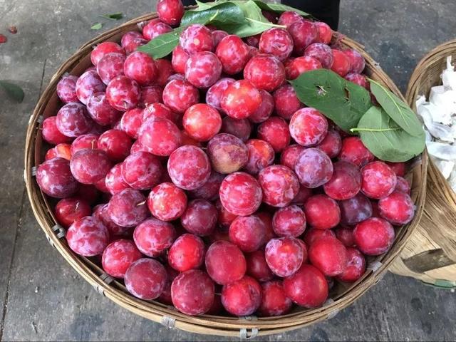 汶川海拔多少米，四川汶川县海拔多少米（什么是汶川）