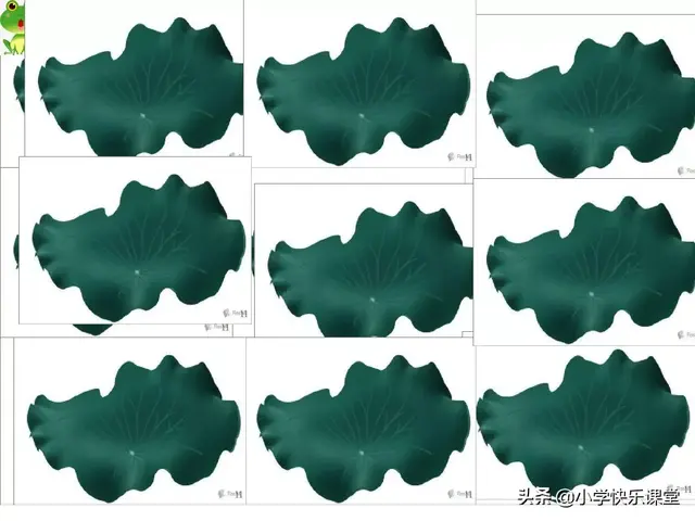 一什么荷叶一什么凉伞，荷叶是小雨的凉伞（小学部编版一年级下册语文课文13《荷叶圆圆》图文解读+知识点）