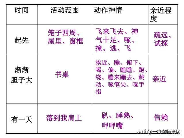 珍珠鸟睡觉像什么，部编版小学语文五年级上册第4课《珍珠鸟》重点知识+图文解读