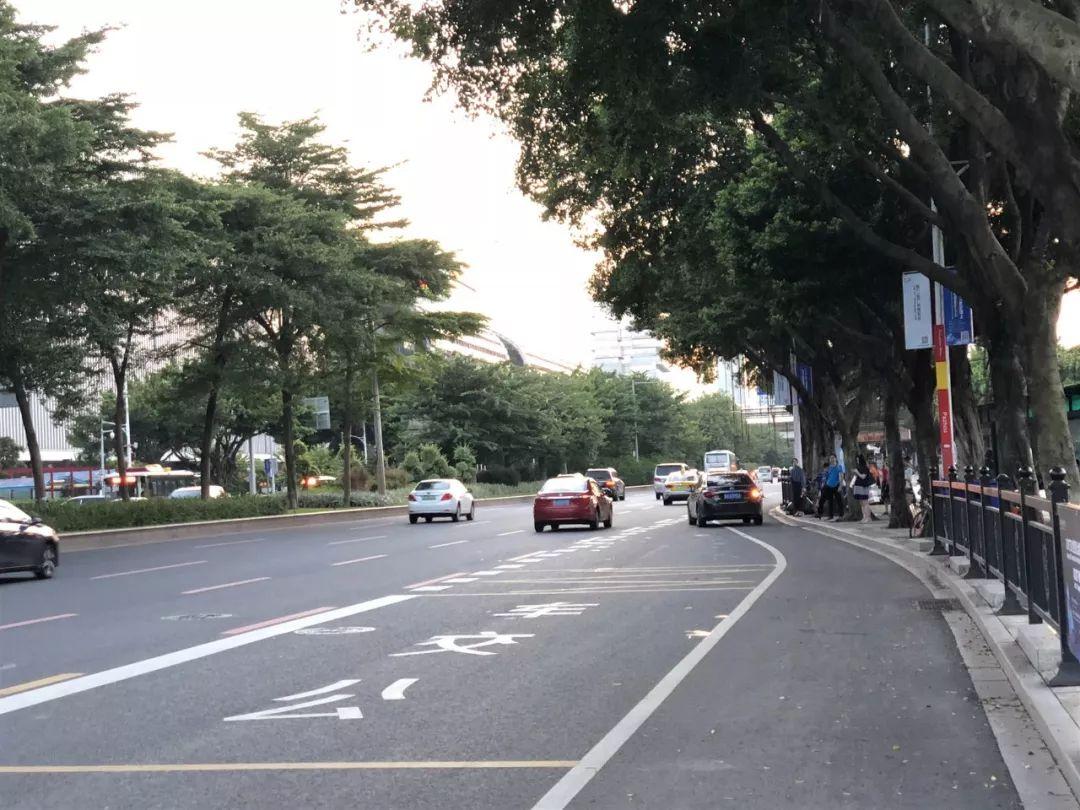 违停扣几分(新交规违停怎么处罚标准)