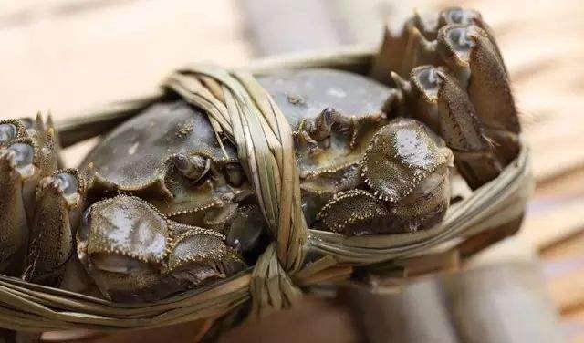 死螃蟹为什么不能吃，螃蟹哪些地方能吃（为什么死螃蟹不能吃）