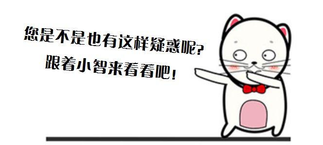 电表户号怎么查询，电表上哪个位置是户号（教你看懂智能电表只需要2分钟）