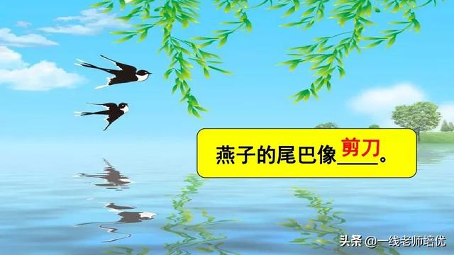 带有提手旁的字大多与什么有关，提手旁的字有哪些（部编版小学语文一年级上册第6课《比尾巴》重点知识+图文解读）